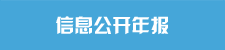 信息公开年报